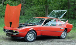 alfa montreal
