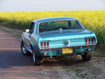 ford mustang 289ci