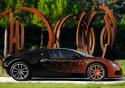 Bugatti Veyron Grand Sport Bernar Venet