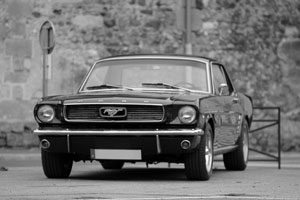 ford mustang gt500