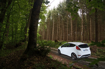 calndre fiesta st