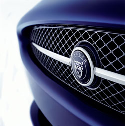 calandre jaguar xk II