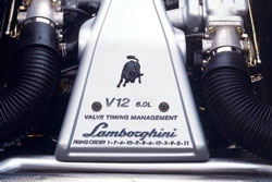 v12 6.0 diablo vt