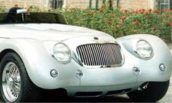 leopard roadster avant