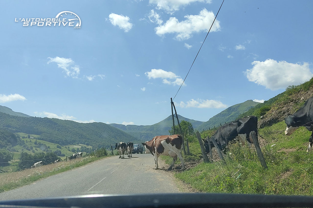 photo roadtrip_auvergne_61