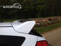 mustang_focus_rs_01.jpg