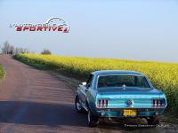 mustang_289ci_05.jpg