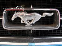 mustang_289ci_07.jpg