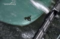 ford_mustang_mk7_dark_horse_08.jpg