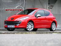 Peugeot 207 RC (2007) - Quand la raison tue la passion - Challenges