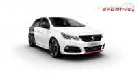 peugeot_308-gti263_blanc-noir_01.jpg