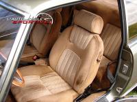 504_coupe_v6ti_03.jpg