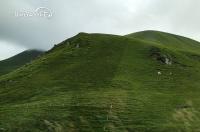 roadtrip_auvergne_09.jpg