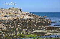 route_des_phares_finistere_31.jpg