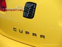 leon_2_cupra240_02.jpg