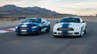 Shelby-Mustang-SuperSnake50th_09.jpg