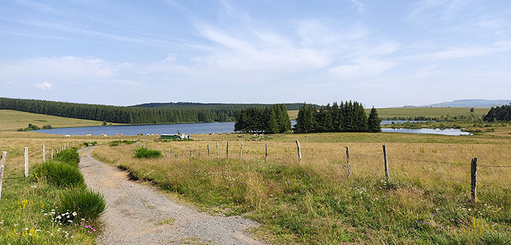 monts du cezallier tourisme